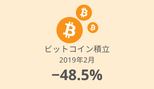 【ビットコイン積立 運用実績】13か月目は－48.5%！バブル再来を待ちわびる（2019年2月）